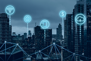IT and telecommunications industry